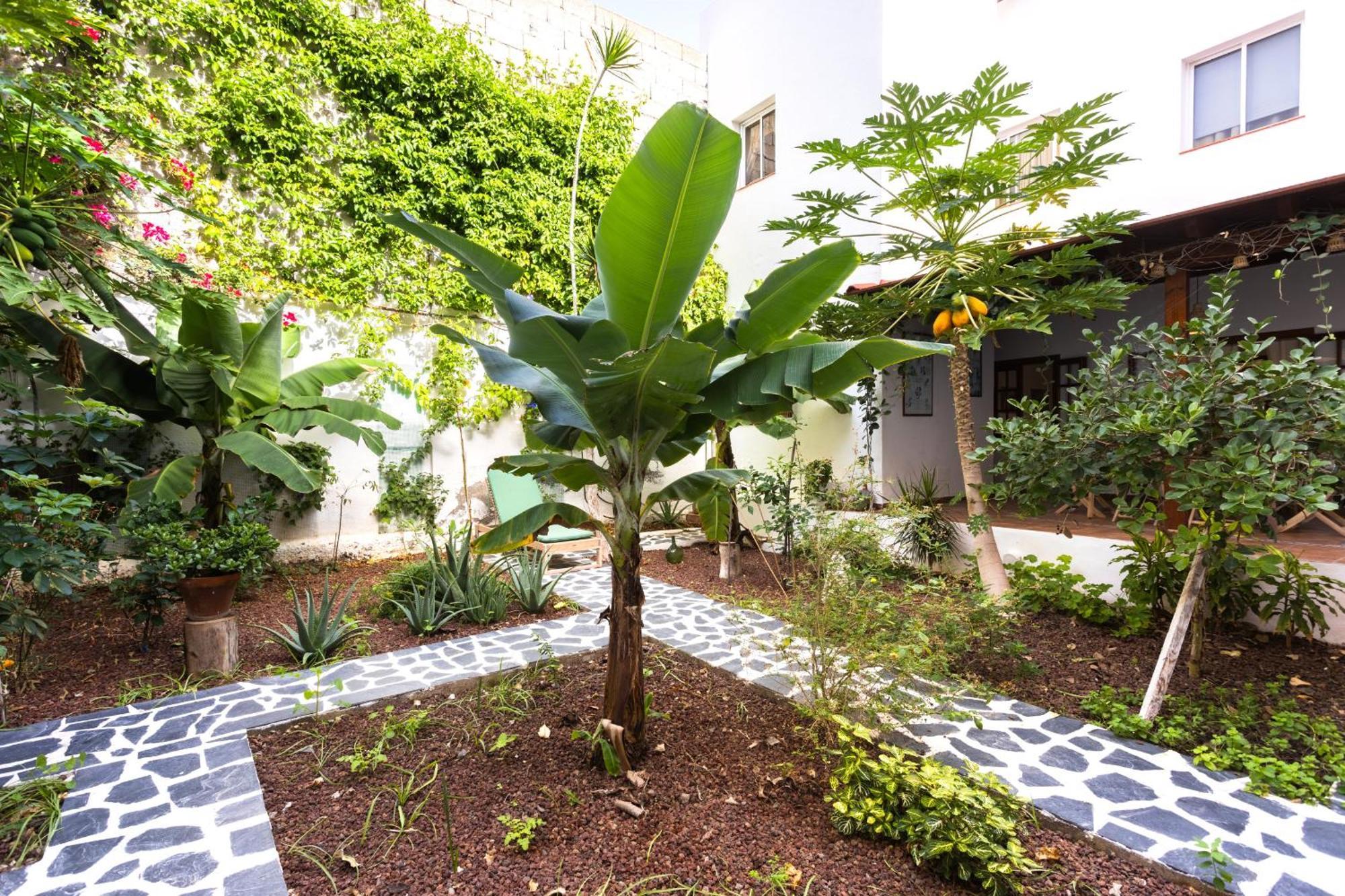 Garachico Center Secret Garden Villa Dış mekan fotoğraf