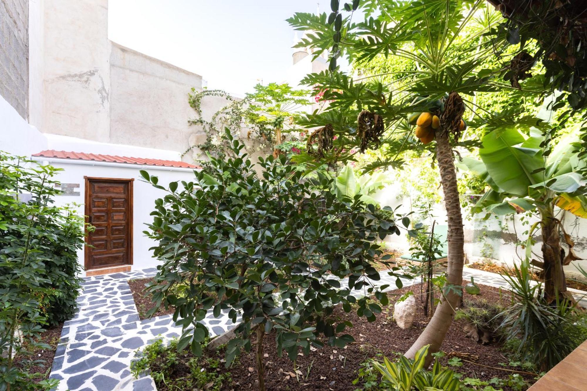 Garachico Center Secret Garden Villa Dış mekan fotoğraf