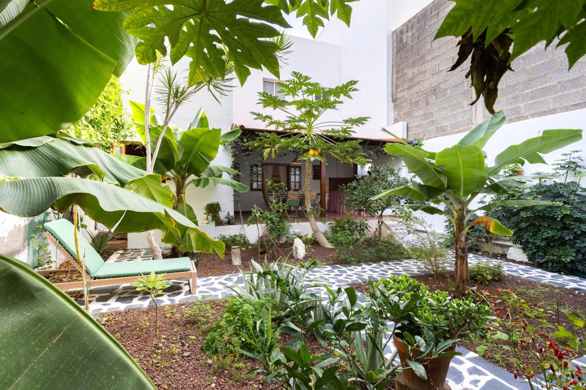Garachico Center Secret Garden Villa Dış mekan fotoğraf